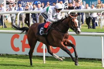 Al Basti Fillies' Stakes betting tips: Backing the bookies' favourite the way to go at York